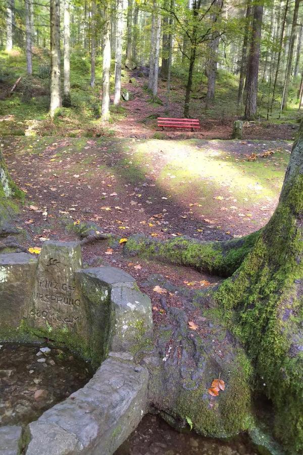 Villa Tiny-Ferienhaeusle Casa Wendy Loßburg Esterno foto